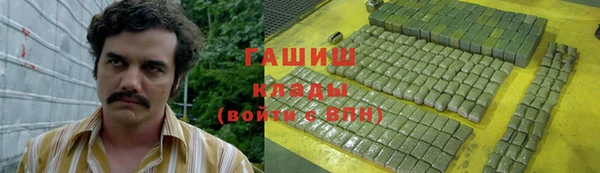 прущие грибы Арсеньев