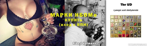 PSILOCYBIN Алзамай
