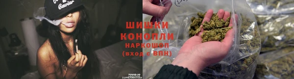 прущие грибы Алексеевка