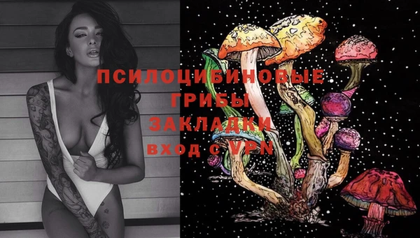 прущие грибы Алексеевка