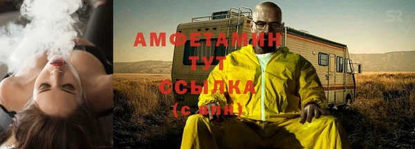 PSILOCYBIN Алзамай