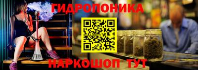 скорость Бийск
